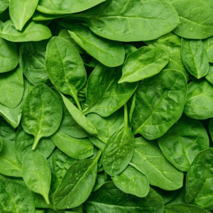 Baby-Spinach.png