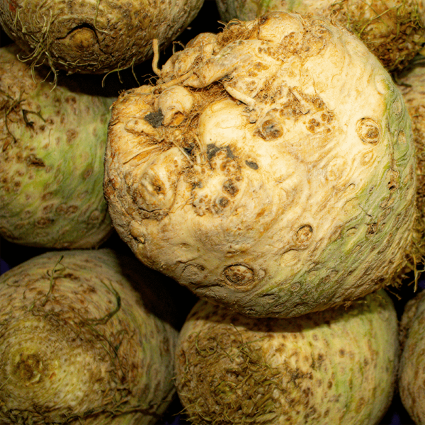 Celeriac