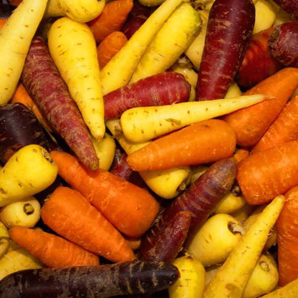 Chantenay Carrot