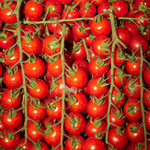 Cherry Vine Tomato