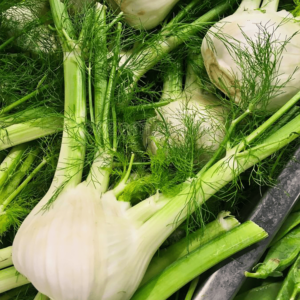 Fennel