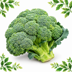 One whole broccoli head with green florets and a thick stalk on a white background framed by illustrated green leaves.