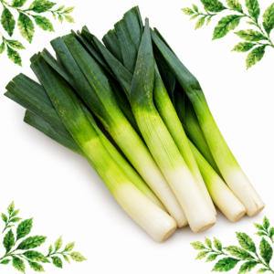 Fresh leeks with white shanks and broad green leaves on a white background framed by illustrated green leaves.