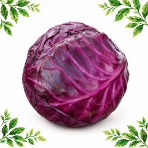 One whole purple-red cabbage on a white background framed by illustrated green leaves.