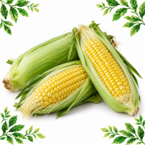 Three sweet corn cobs in green husks, two showing yellow kernels, on a white background framed by illustrated green leaves.