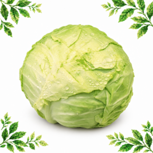 One whole pale green white cabbage on a white background framed by illustrated green leaves.