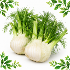 Two whole fennel bulbs with green stalks and feathery fronds on a white background with leafy illustrated corners.