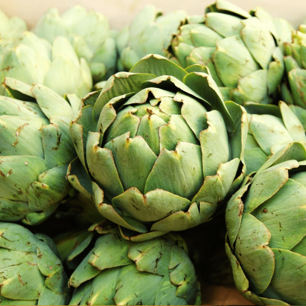 Globe Artichoke