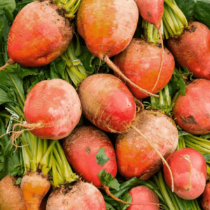 Golden Beetroot