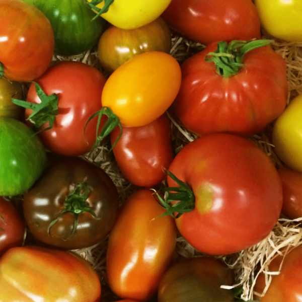 Heritage Tomato