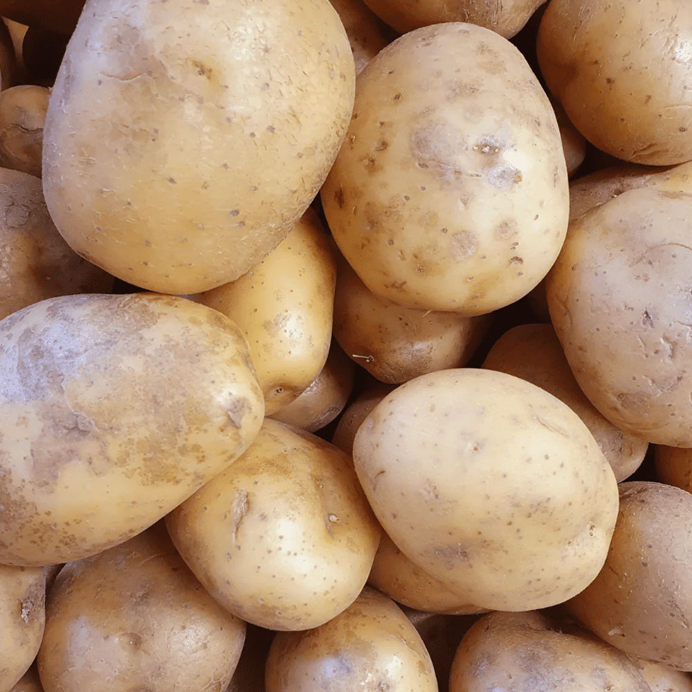 New Potato Cornish