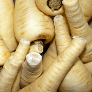 Parsnip.png