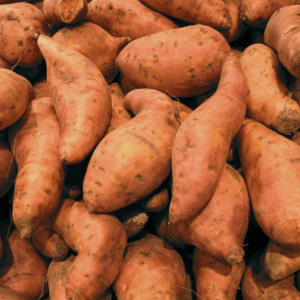 Sweet-Potato.png