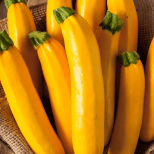 yellow courgette