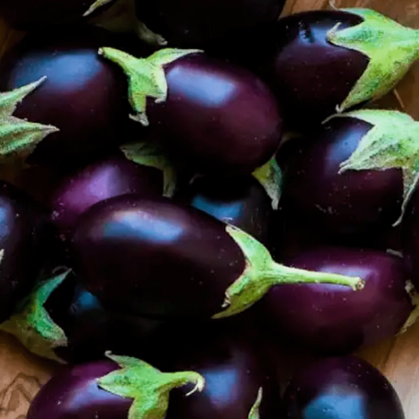 Baby Aubergine