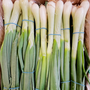 spring-onions-2.png