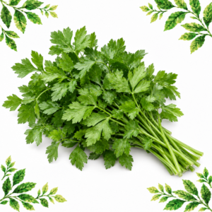 Bunch of fresh flat-leaf parsley with pointed green leaves and visible stems on a white background framed by illustrated green leaves.