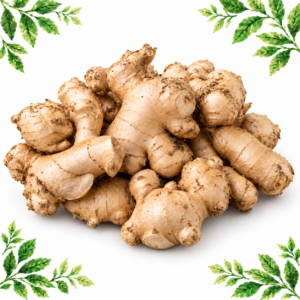 Pile of knobbly fresh ginger roots with textured tan skin on a white background framed by illustrated green leaves.