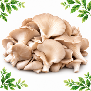 Pile of pale beige oyster mushrooms with fan-shaped caps and delicate gills on a white background framed by illustrated green leaves.