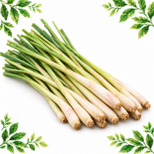 Bunch of fresh lemongrass with pale cream bases and green stalks on a white background framed by illustrated green leaves.