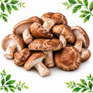 Pile of shiitake mushrooms with patterned brown caps, pale stems and cream gills on a white background framed by illustrated green leaves