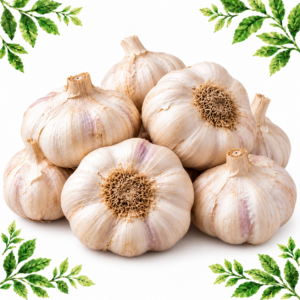 Whole garlic bulbs with off-white papery skins and faint purple streaks on a white background framed by illustrated green leaves.