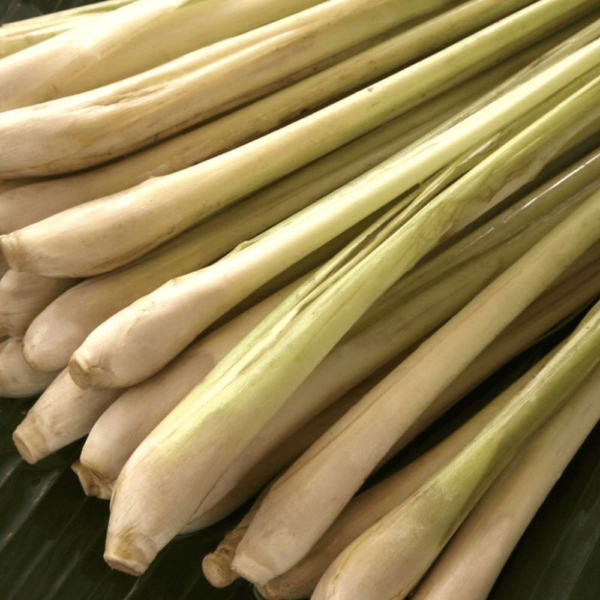 Lemongrass