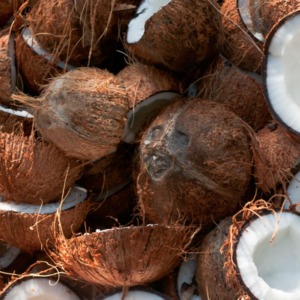 Coconut