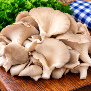 Fresh Gourmet Oyster Mushrooms with tender fan-shaped caps
