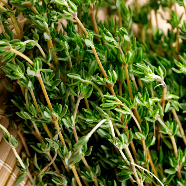 Thyme