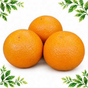 Three large whole oranges on a white background framed by illustrated green leaves