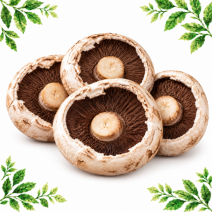 Four flat field mushrooms showing dark brown gills and cream stems on a white background framed by illustrated green leaves.