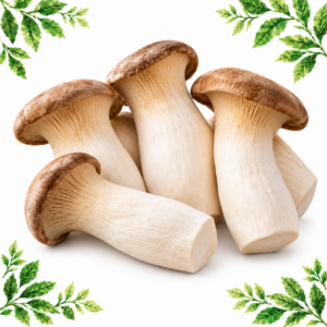 King oyster mushrooms with thick cream stems and brown caps on a white background framed by illustrated green leaves.