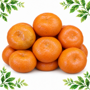 A pile of whole orange Nadorcott mandarins on a white background framed by illustrated green leaves.