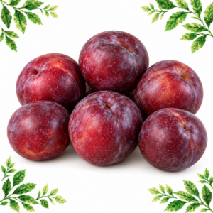 Six red-purple plums with a natural pale bloom on a white background framed by illustrated green leaves.