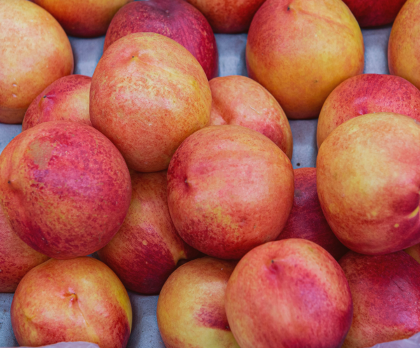 Premium Nectarines