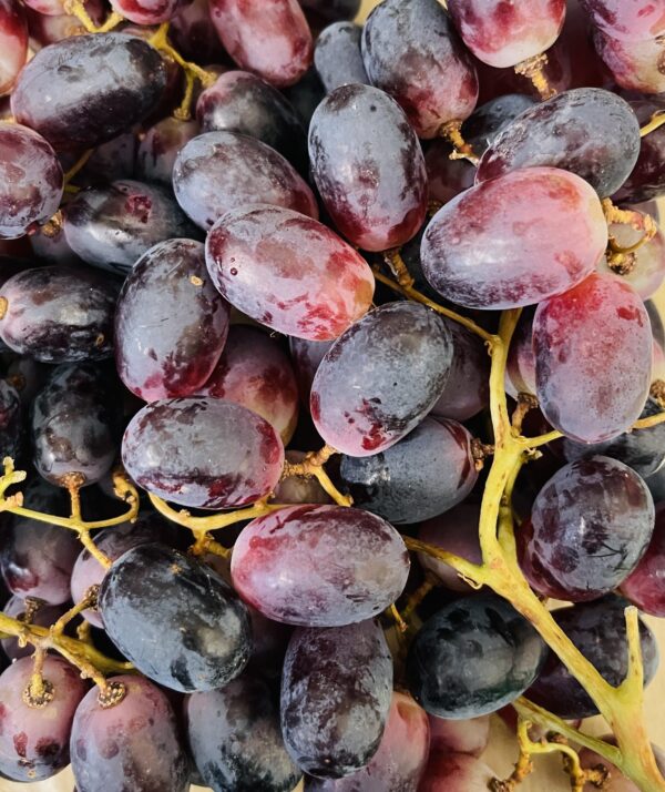 Red Seedless Grape