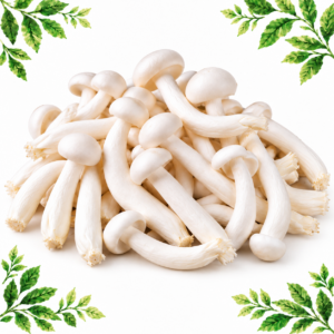 Pile of white shimeji mushrooms with slender stems and rounded caps on a white background framed by illustrated green leaves.