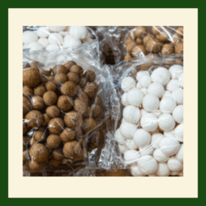 White Shimeji Mushrooms | Premium Gourmet Mushrooms