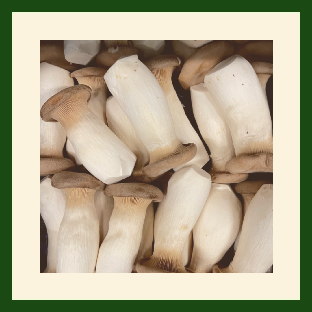 Fresh King Oyster Mushrooms | Premium Gourmet Mushrooms