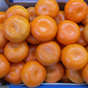 Nadorcott Oranges