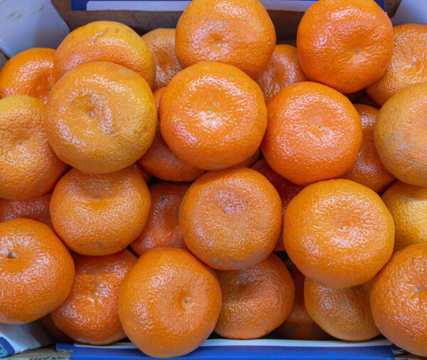 Nadorcott Oranges