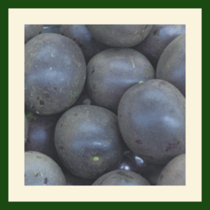 Fresh Passion Fruit | Juicy Tropical Passion Fruit
