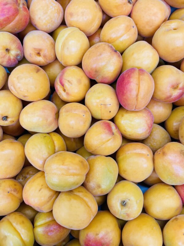 Apricots