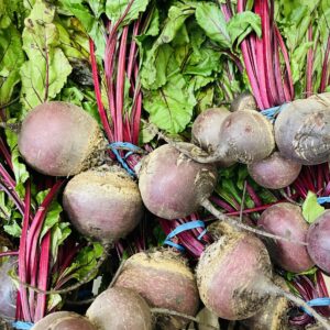 Bunch Beetroot