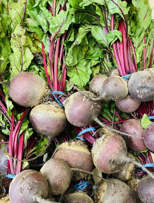 Bunch Beetroot