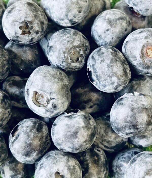 Blueberries