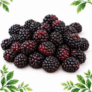 A pile of dark-purple and black blackberries on a white background framed by illustrated green leaves.