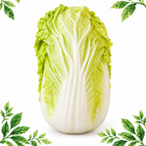 One whole Chinese Napa cabbage with pale-green crinkled leaves and white ribs on a white background framed by illustrated green leaves.