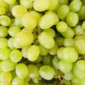 green seedless grape